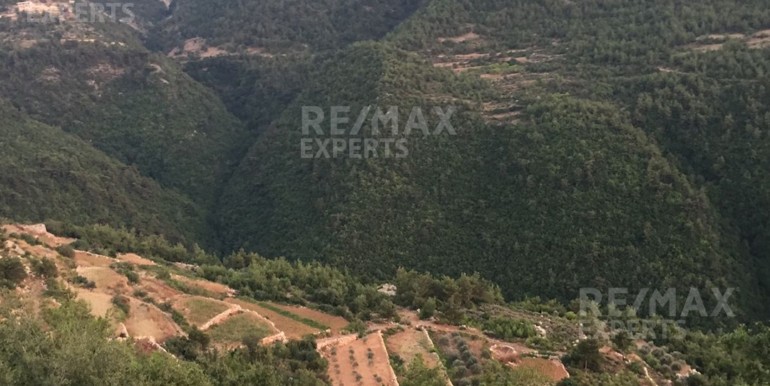 R9-322 Land for sale in Izal !